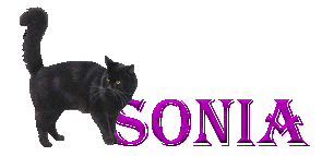 Sonia name graphics
