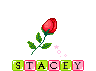 Stacey name graphics