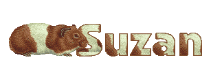 Suzan name graphics