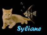 Syliane name graphics