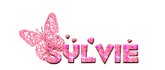 Sylvie name graphics
