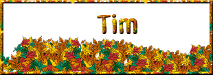 Tim name graphics