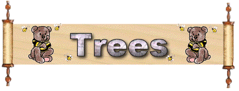 Trees name graphics