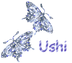 Ushi name graphics