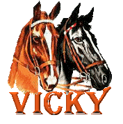 Vicky name graphics