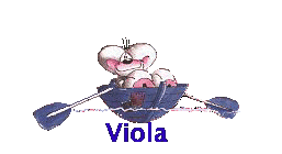 Viola name graphics