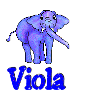 Viola name graphics