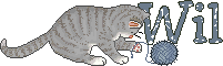 Wil name graphics