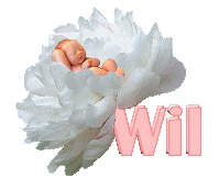 Wil name graphics