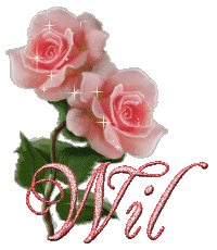 Wil name graphics