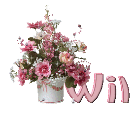 Wil name graphics