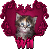 Wil name graphics