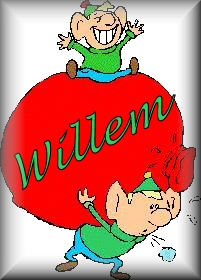 Willem name graphics