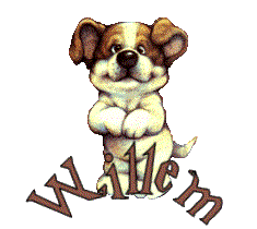 Willem name graphics