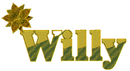 Willy name graphics