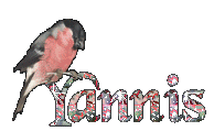 Yannis name graphics