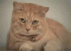 Crying sad reaction gifs