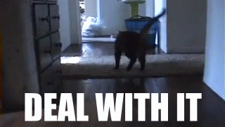 Deal with it reaction gifs