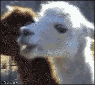 picgifs-disgust-1669247.gif