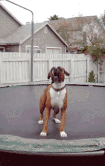 Funny reaction gifs