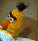 O rly really you dont say reaction gifs