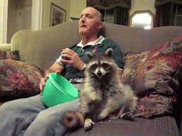 Popcorn dis gon b gud reaction gifs
