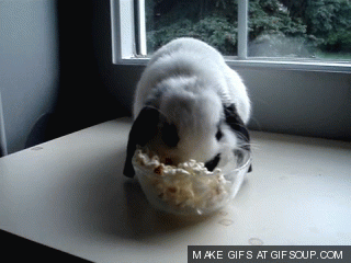 Popcorn dis gun b gud reaction gifs