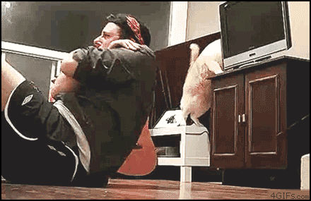 Self inflicted reaction gifs