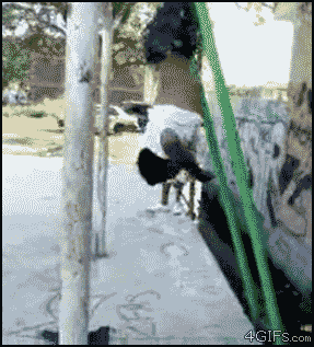 picgifs-self-inflicted-2419506.gif