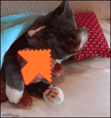 Upvotes reaction gifs