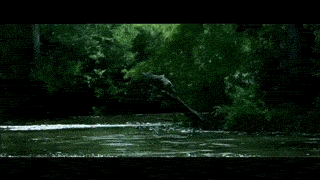 Upvotes reaction gifs