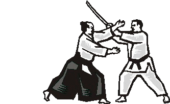 Aikido sport graphics