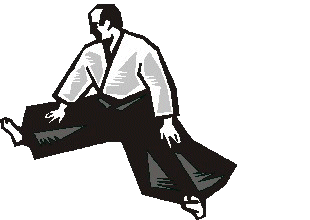 Aikido sport graphics