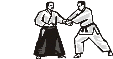 Aikido sport graphics