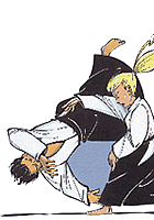 Aikido sport graphics