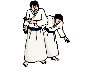 Aikido sport graphics