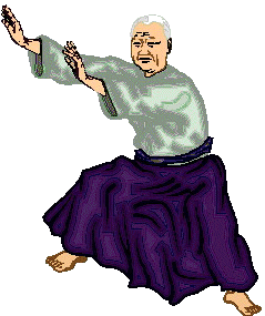 Aikido sport graphics