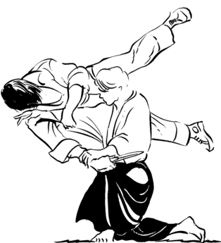 Aikido