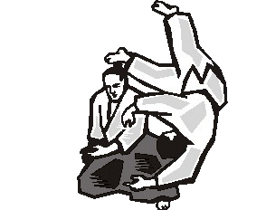 Aikido sport graphics