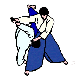 Aikido sport graphics