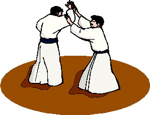 Aikido sport graphics