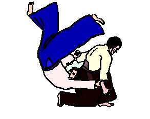 Aikido sport graphics