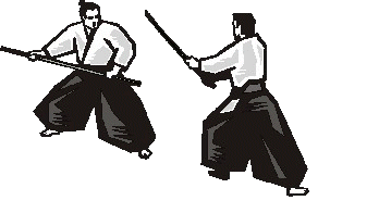 Aikido sport graphics