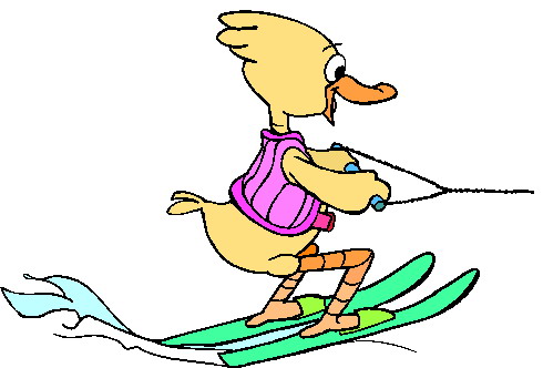 Animal sports sport graphics