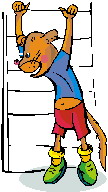 Animal sports sport graphics