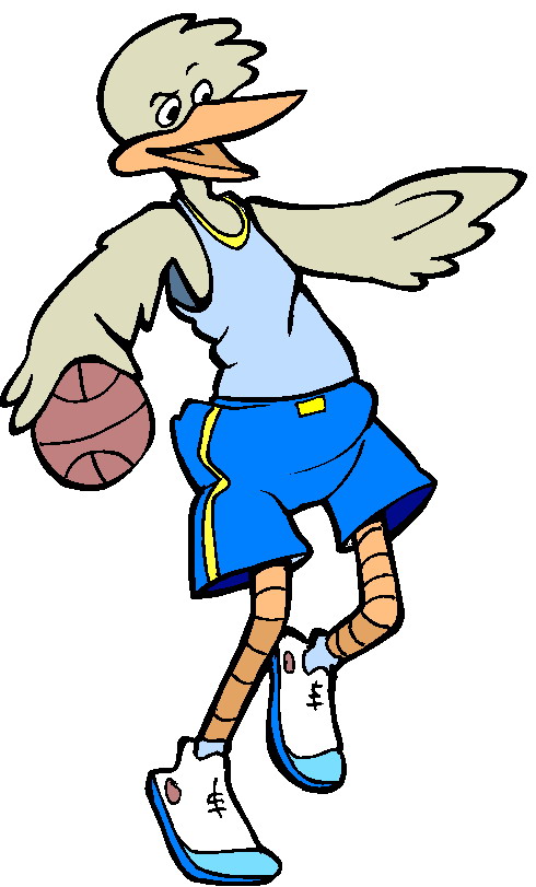 Animal sports sport graphics