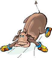Animal sports sport graphics