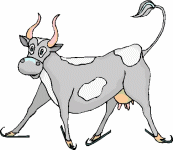 Animal sports sport graphics