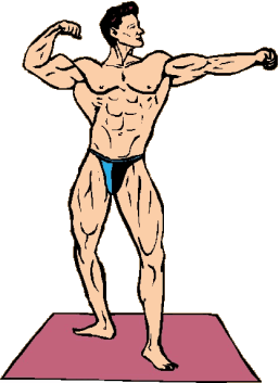 Bodybuilding sport graphics