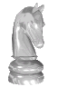 Chess sport graphics